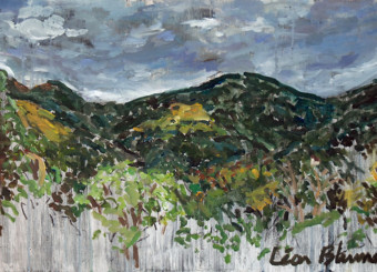 Depuis le Braunkopf (Vosges)