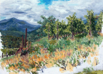 Les deux ballons (Vosges) Paysage de Léon Blumenstein dans les vignes, avec le Grand Ballon et le Petit Ballon en fond