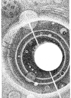 L'équilibre du désaxé W.Alter - L'équilibre du désaxé, 2017