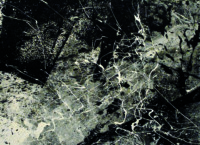 Abstraction défoulatoire